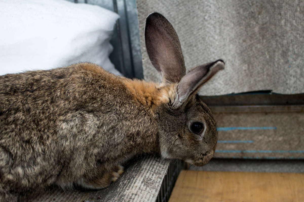 ������� ����� ��������� ���������� �� PhotoGeek.ru #�������� ��� #�������� ���