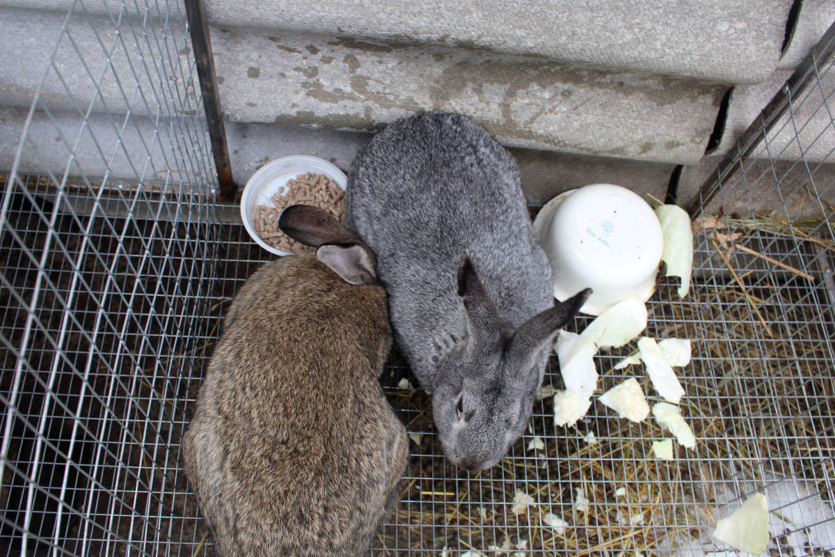 ��� ��� ����� ��������� ���������� �� PhotoGeek.ru #�������� ���