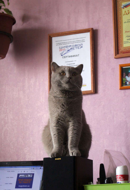��� ����� ��������� ���������� �� PhotoGeek.ru #�������� ��� #�������� ���