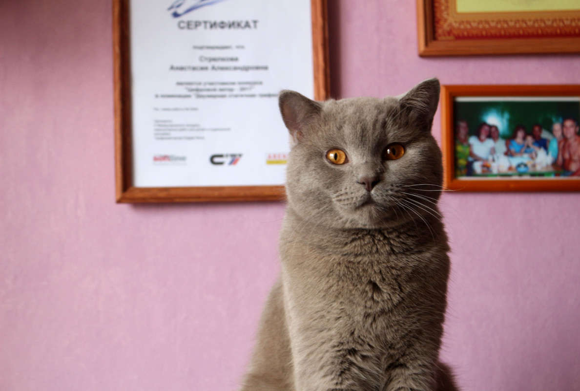 ���2 ����� ��������� ���������� �� PhotoGeek.ru #�������� ��� #�������� ���
