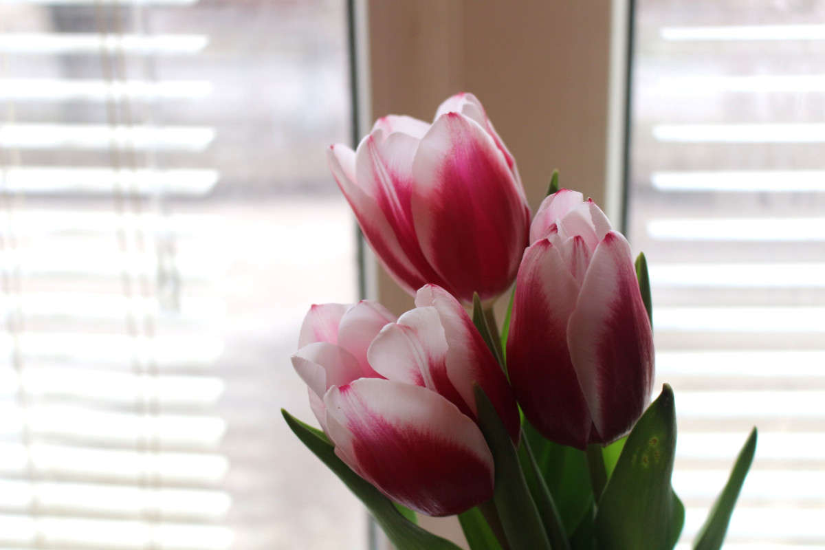 �������� ����� ��������� ���������� �� PhotoGeek.ru #������ ��� ������� #����� ��������������