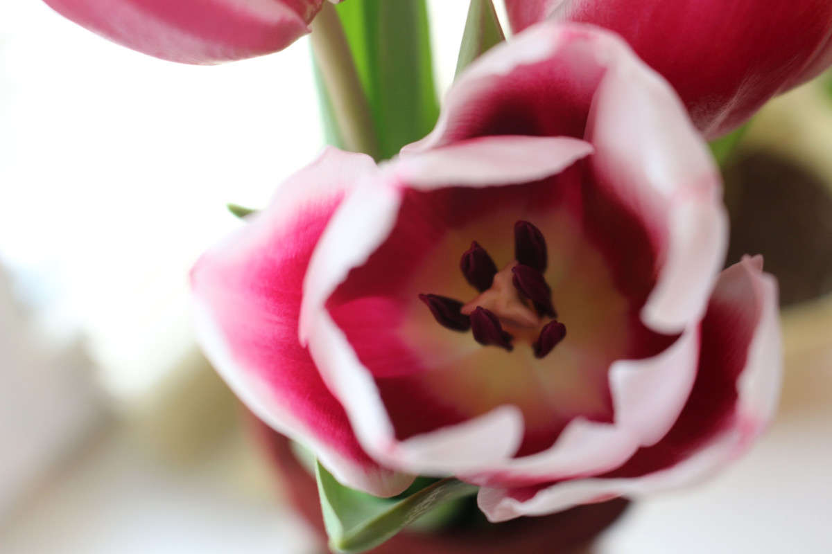 ... ����� ��������� ���������� �� PhotoGeek.ru #������ ��� ������� #����� ��������������