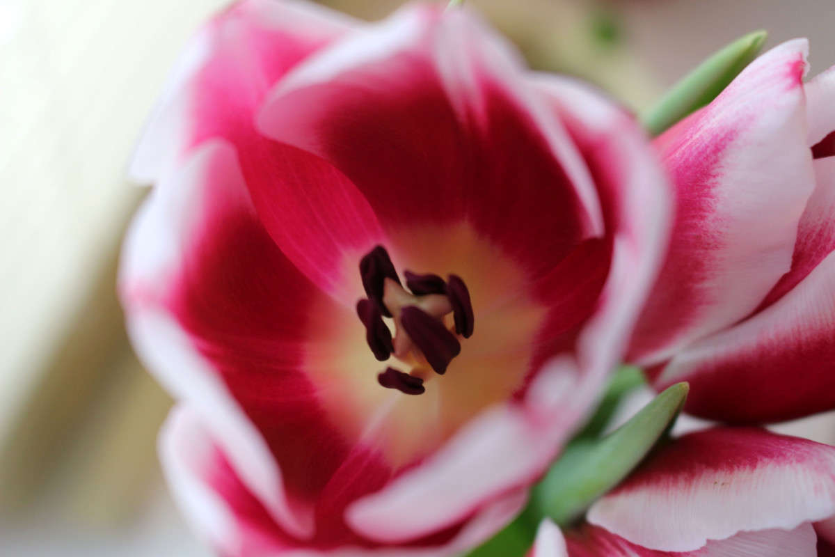 ... ����� ��������� ���������� �� PhotoGeek.ru #������ ��� ������� #����� ��������������