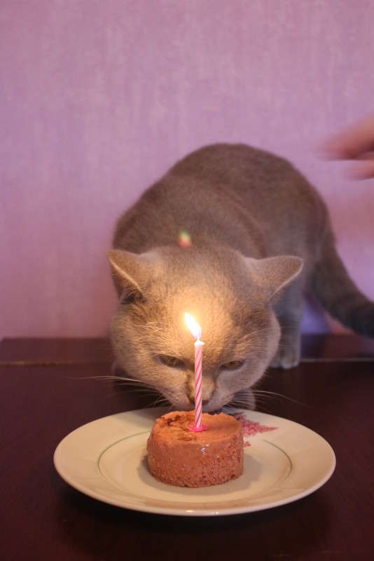 ������� � ���� ����� ��������� ���������� �� PhotoGeek.ru #��������