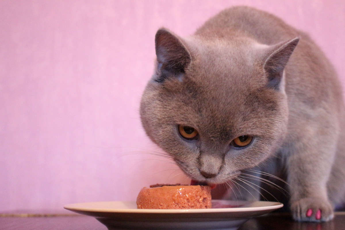 ... ����� ��������� ���������� �� PhotoGeek.ru #��������