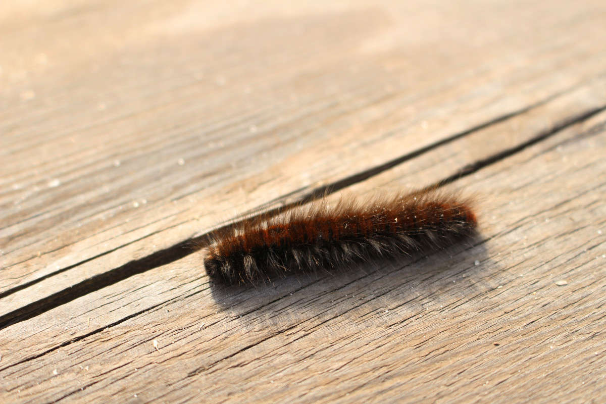 �����...��� ���������... ����� ��������� ���������� �� PhotoGeek.ru #������ ��� ������� #����� ��������