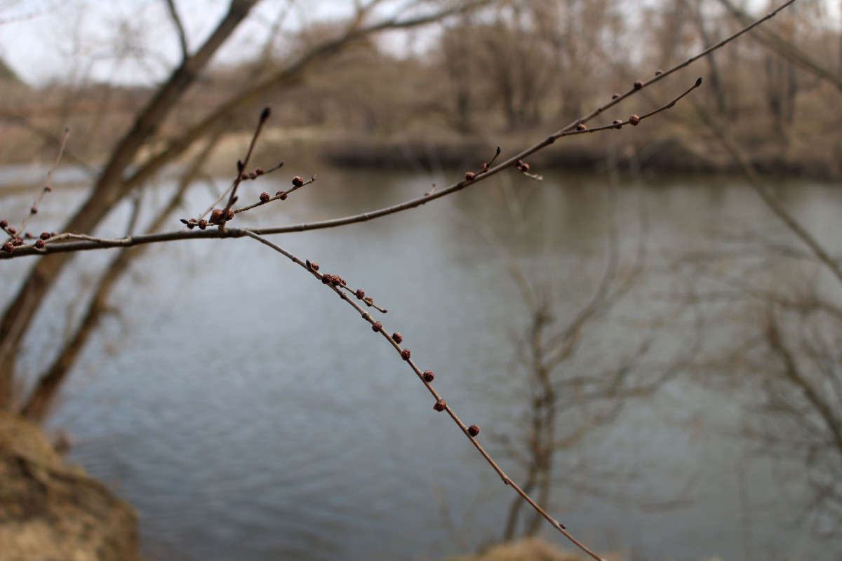 ... ����� ��������� ���������� �� PhotoGeek.ru #������ ��� ������� #����� ��������������