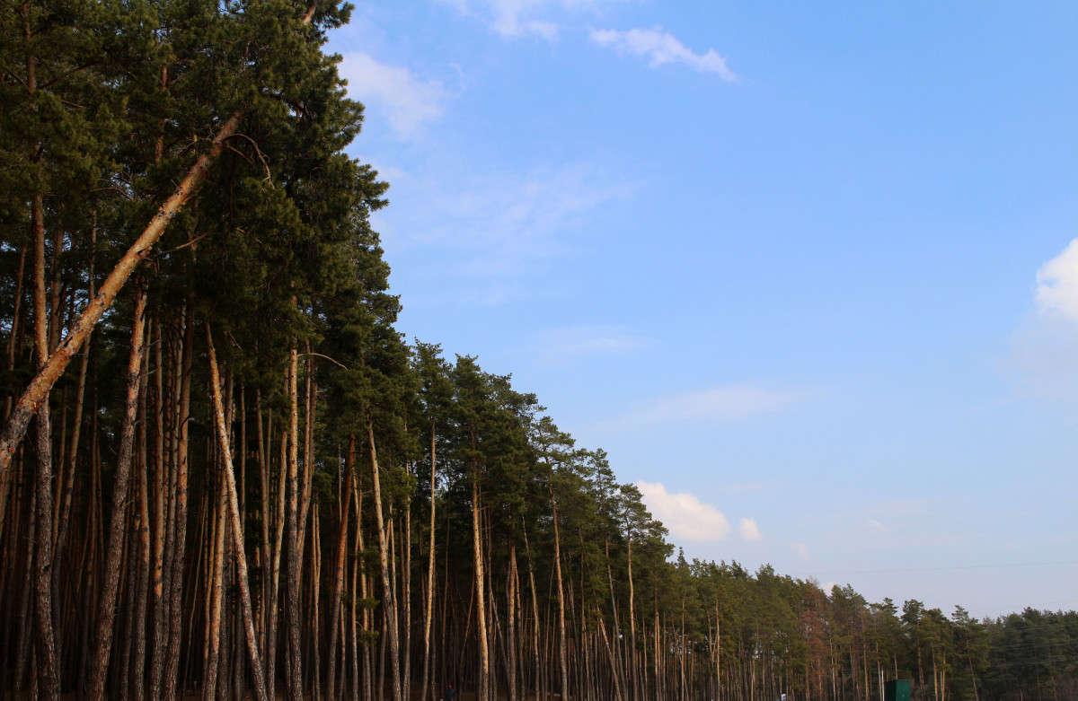 ... ����� ��������� ���������� �� PhotoGeek.ru #������ ��� �������