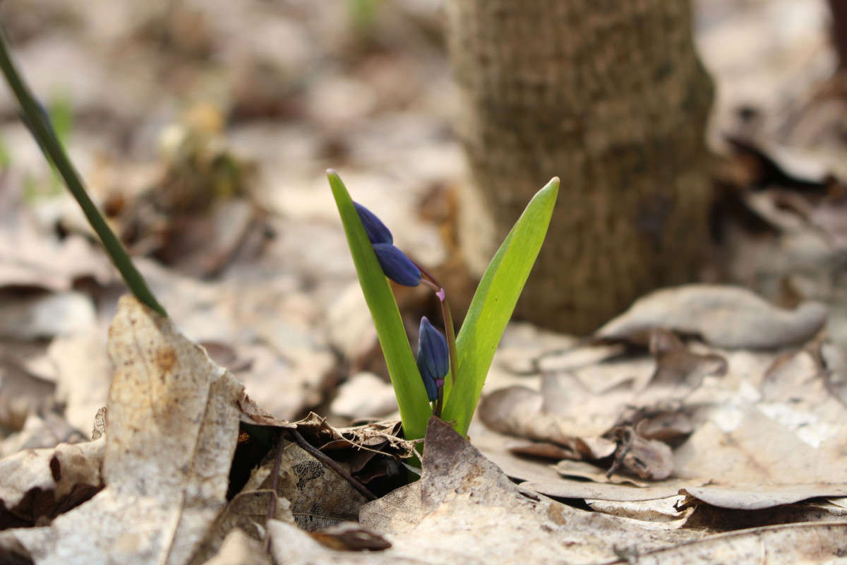 ����� ������ ����� ��������� ���������� �� PhotoGeek.ru #������ ��� ������� #����� �������������� #����� ��������