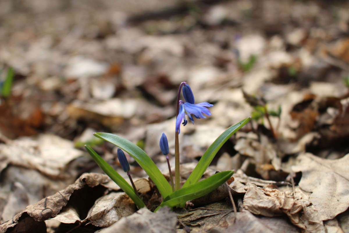 ���������� ����� ��������� ���������� �� PhotoGeek.ru #������ ��� ������� #����� ��������������