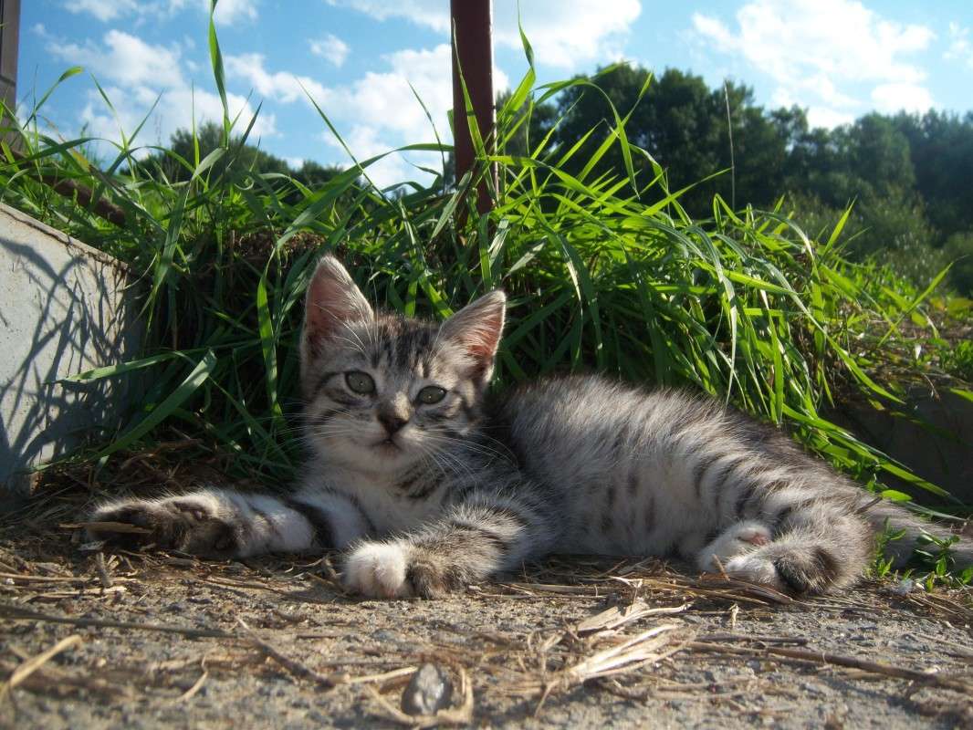 � ������� ����� ��������� ���������� �� PhotoGeek.ru #�������� ���