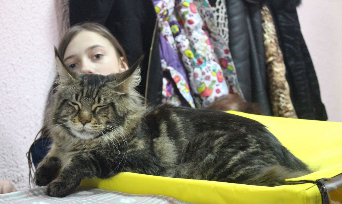 �������� ����� ����� ��������� ���������� �� PhotoGeek.ru #������� #�������� ��� #��������