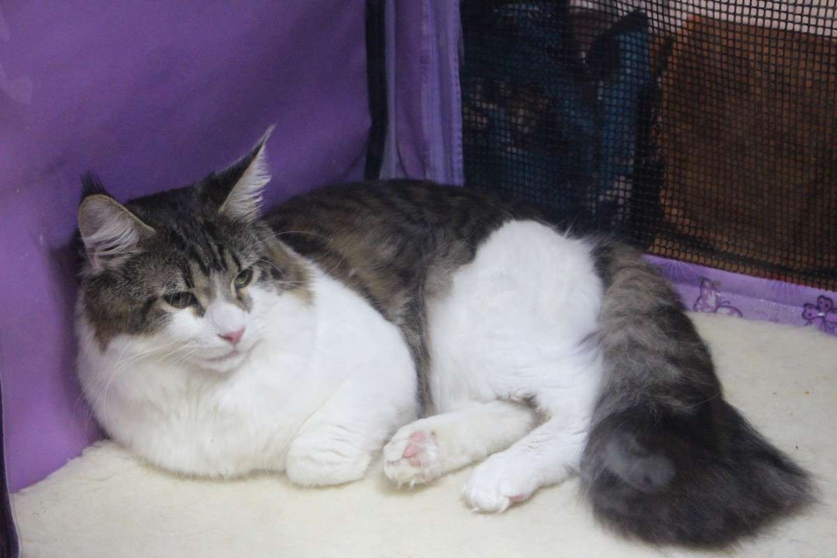 �������� �����2 ����� ��������� ���������� �� PhotoGeek.ru #������� #�������� ��� #��������