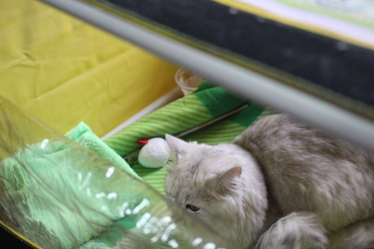 �������� �����3 ����� ��������� ���������� �� PhotoGeek.ru #������� #�������� ��� #��������