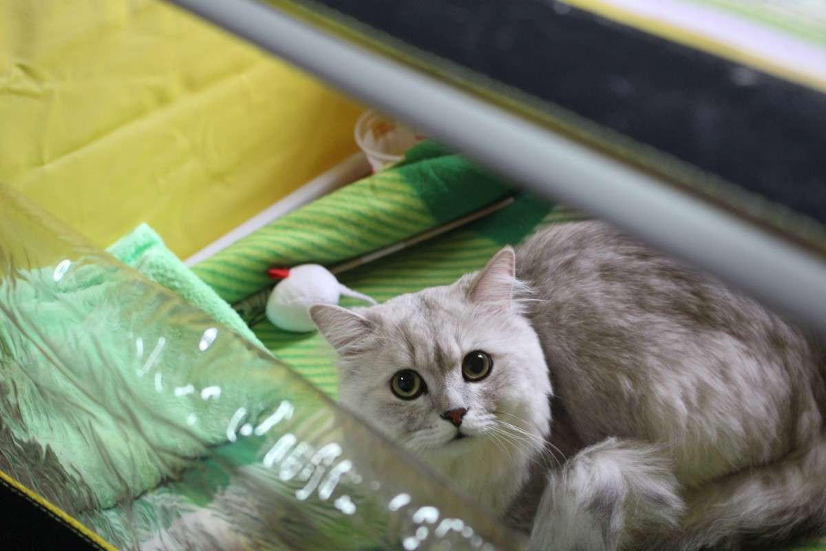 �������� �����4 ����� ��������� ���������� �� PhotoGeek.ru #������� #�������� ��� #��������