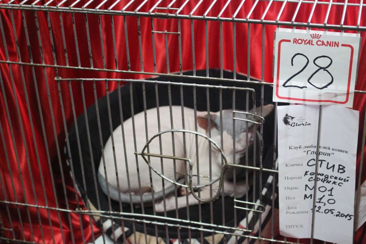 ����� ����� ��������� ���������� �� PhotoGeek.ru #������� #�������� ��� #��������