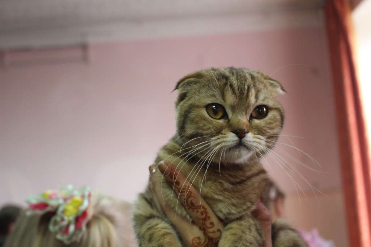 ��������� ����� ��������� ���������� �� PhotoGeek.ru #������� #�������� ��� #��������