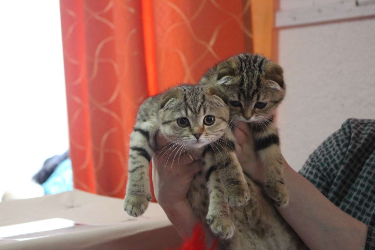 ��������� ��������� ����� ��������� ���������� �� PhotoGeek.ru #������� #�������� ��� #��������