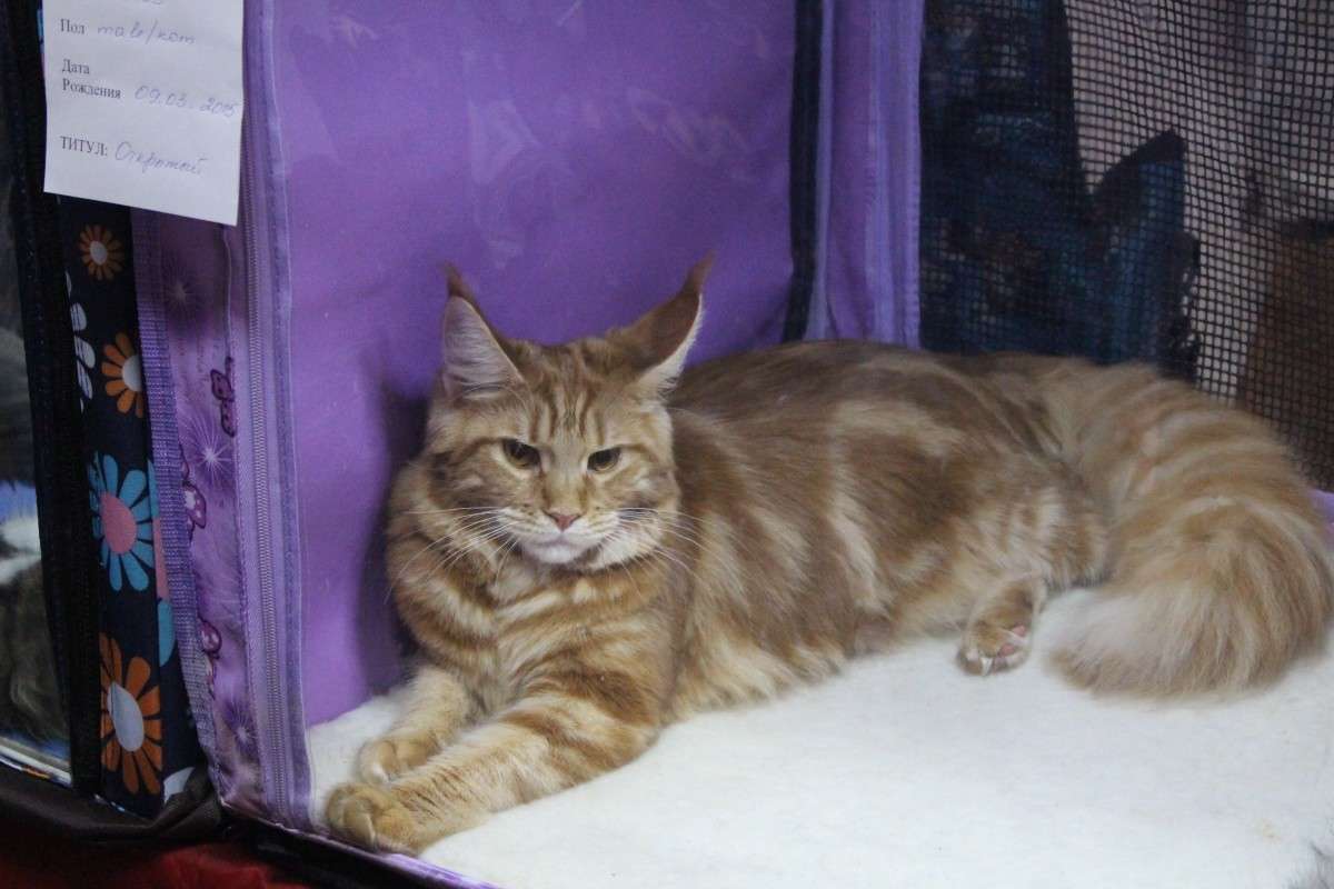 ������� ���� ����� ��������� ���������� �� PhotoGeek.ru #������� #�������� ��� #��������