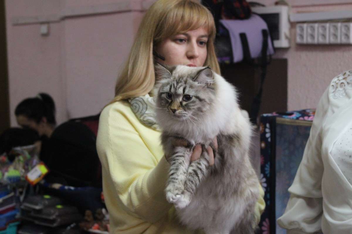 �������� �����5 ����� ��������� ���������� �� PhotoGeek.ru #������� #�������� ��� #��������