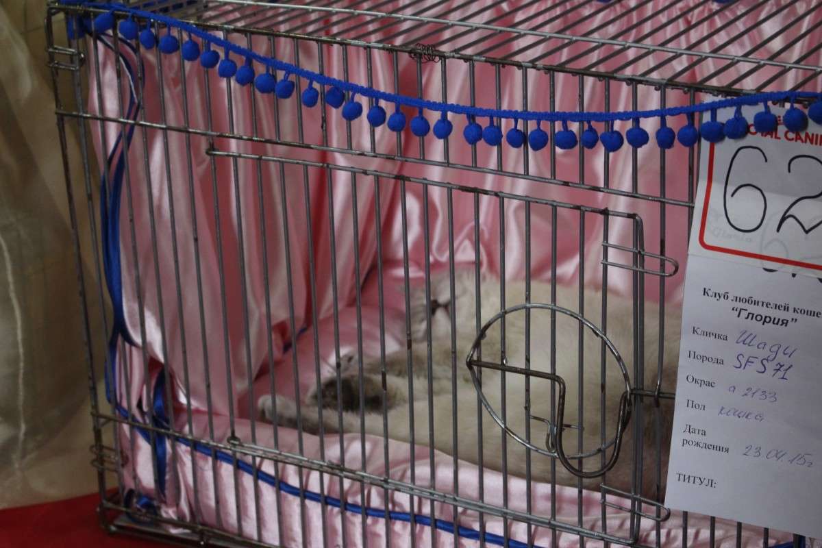 �� � �����, ���� �� ���, ��� ���� � ����� ��� ����� ��������� ���������� �� PhotoGeek.ru #������� #�������� ��� #��������