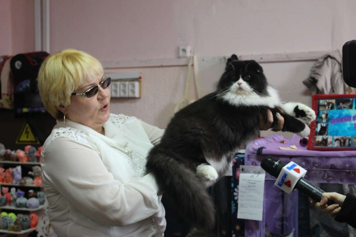 �������� �����6 ����� ��������� ���������� �� PhotoGeek.ru #������� #�������� ��� #��������