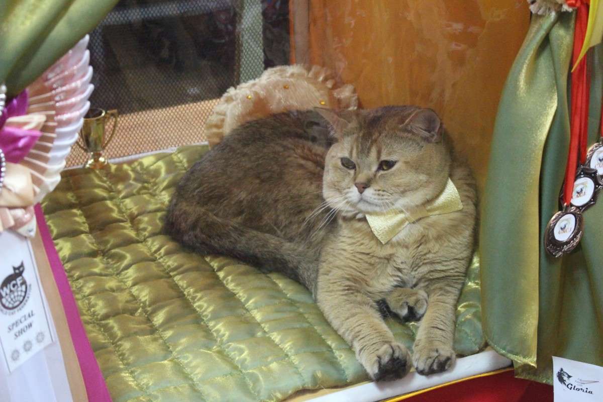 ��������� �������!) ����� ��������� ���������� �� PhotoGeek.ru #������� #�������� ��� #��������