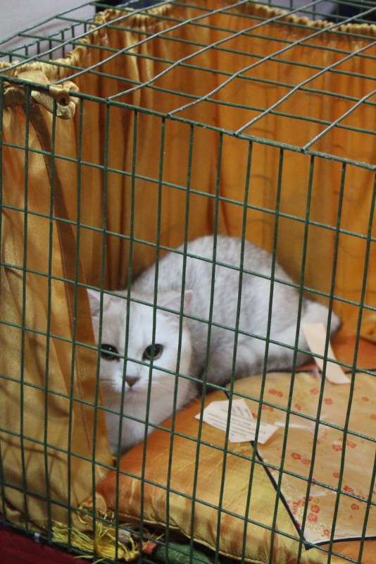 �������� �����7 ����� ��������� ���������� �� PhotoGeek.ru #������� #�������� ��� #��������