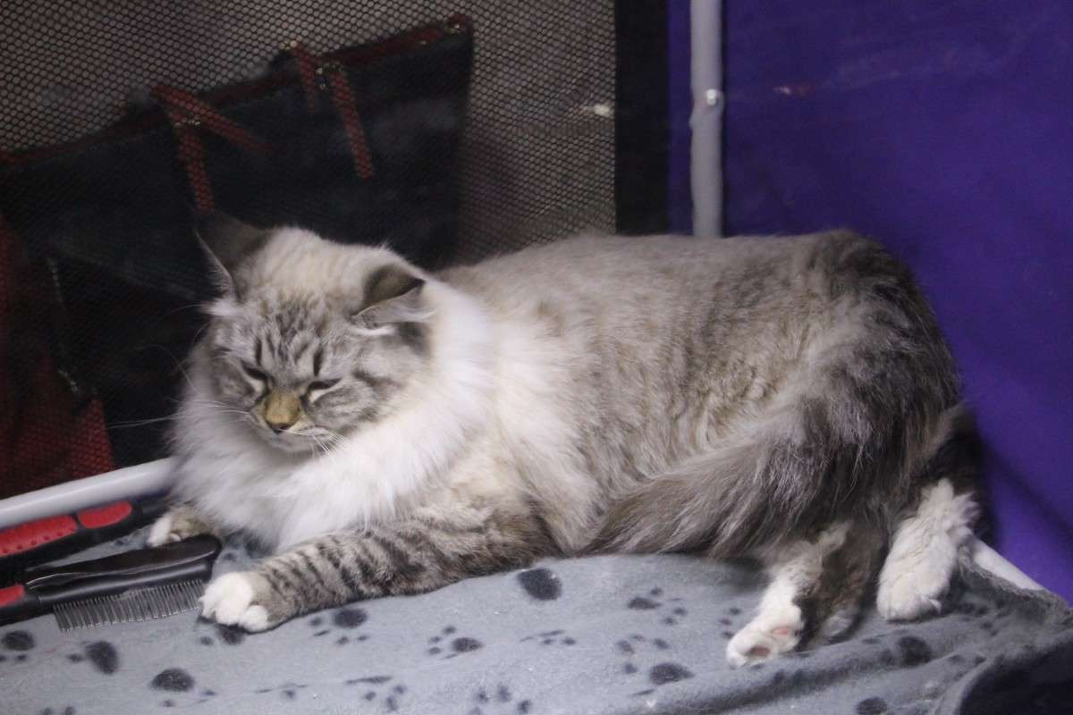 �������� �����8 ����� ��������� ���������� �� PhotoGeek.ru #������� #�������� ��� #��������