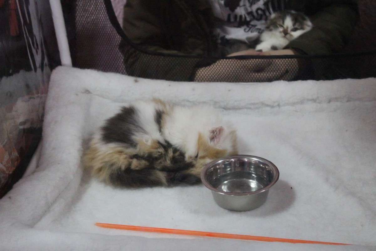 ������������ ������� ����� ��������� ���������� �� PhotoGeek.ru #�������� ���