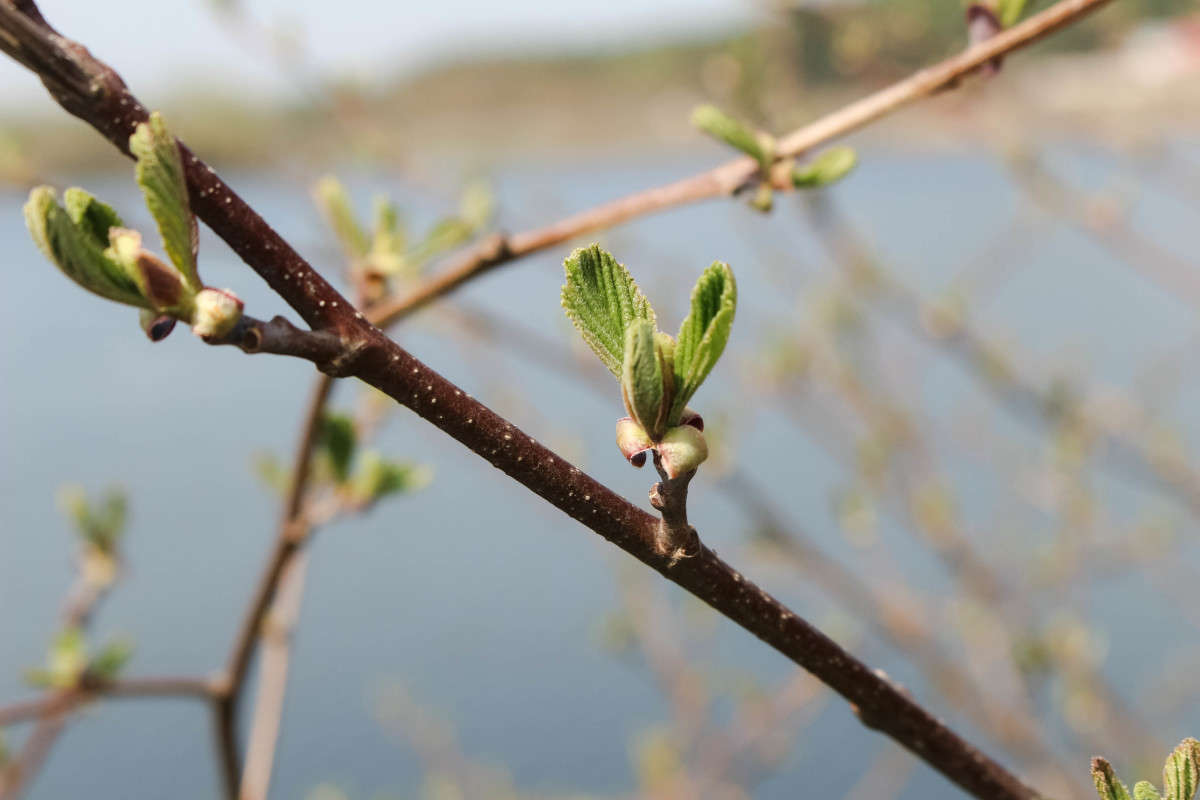 ... ����� ��������� ���������� �� PhotoGeek.ru #������ ��� ������� #����� �������������� #����� ��������