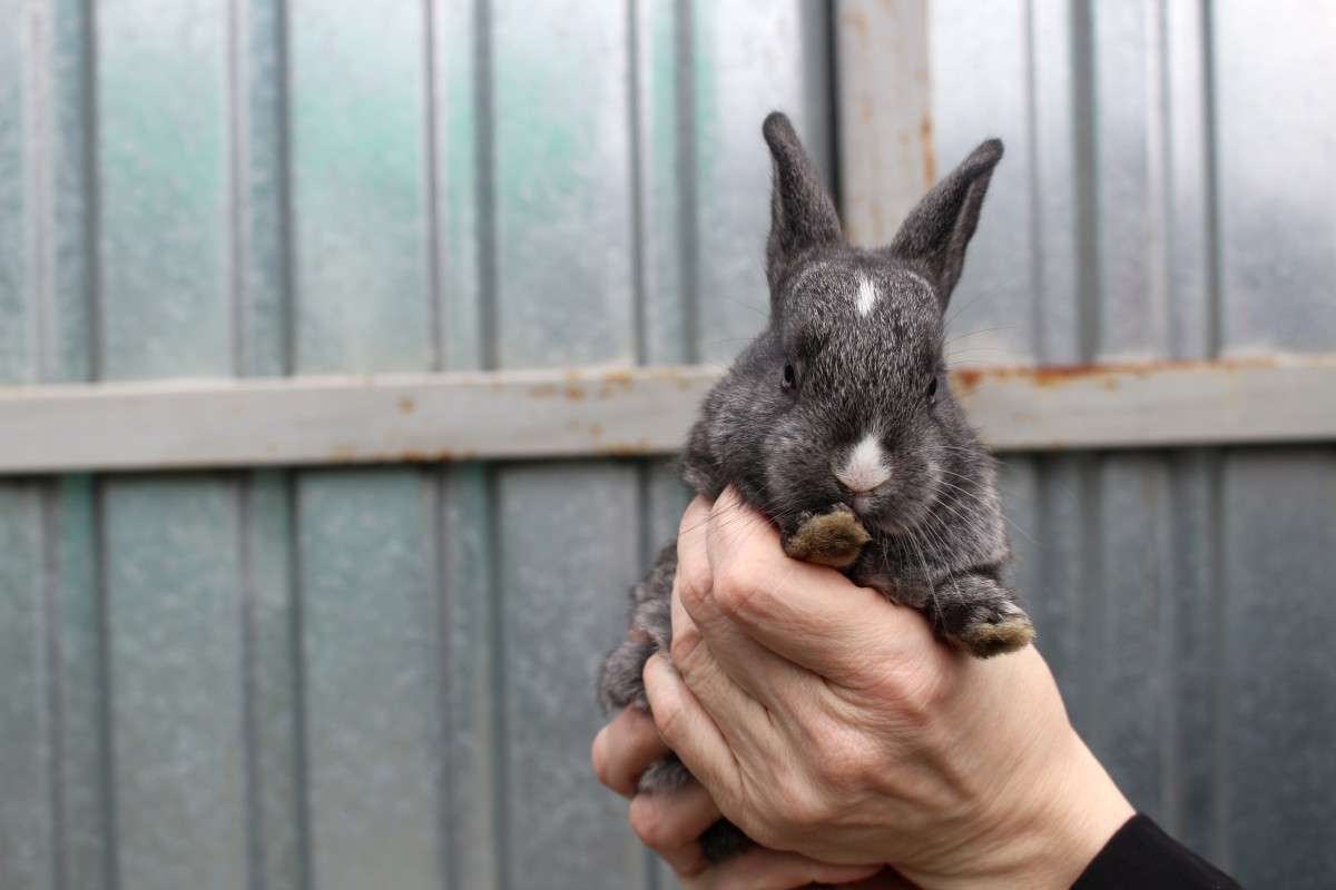 ��������� ����� ��������� ���������� �� PhotoGeek.ru #�������� ���