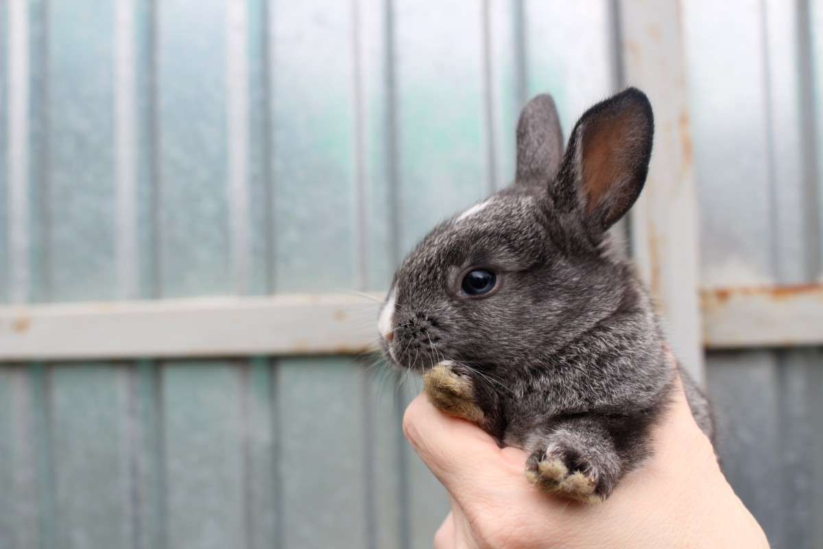 ... ����� ��������� ���������� �� PhotoGeek.ru #�������� ���