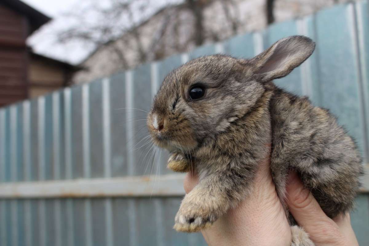 ... ����� ��������� ���������� �� PhotoGeek.ru #�������� ���