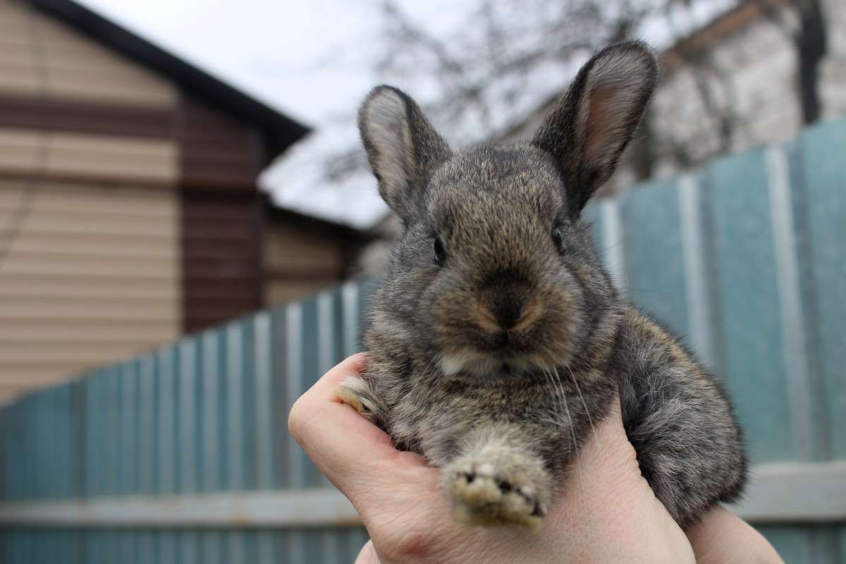 ... ����� ��������� ���������� �� PhotoGeek.ru #�������� ���