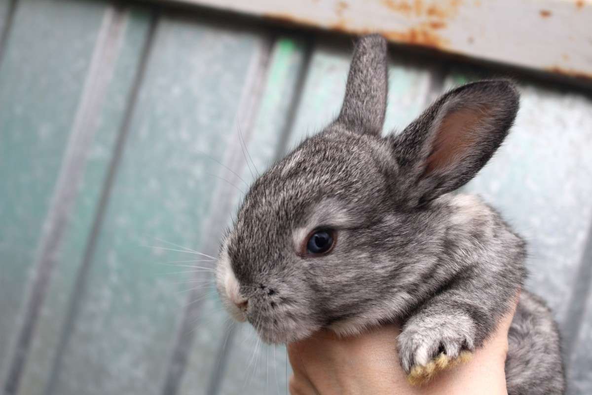 ... ����� ��������� ���������� �� PhotoGeek.ru #�������� ���