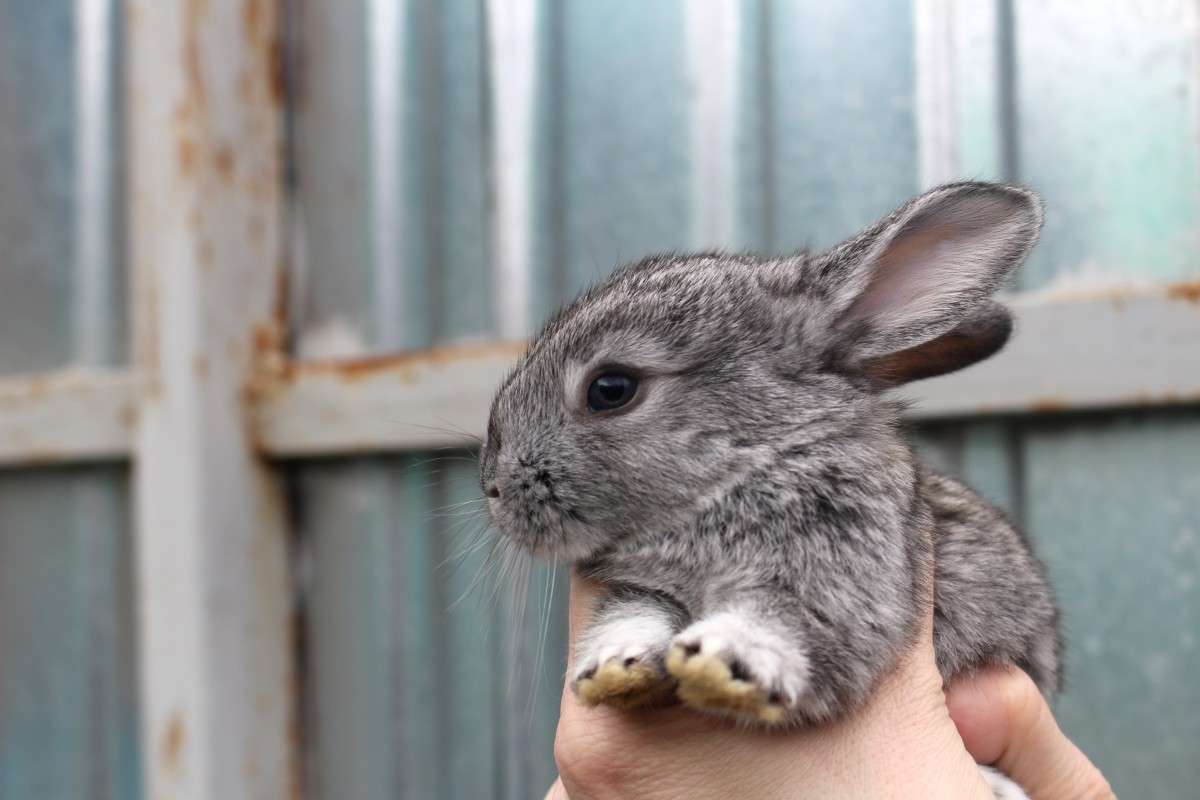 ... ����� ��������� ���������� �� PhotoGeek.ru #�������� ���