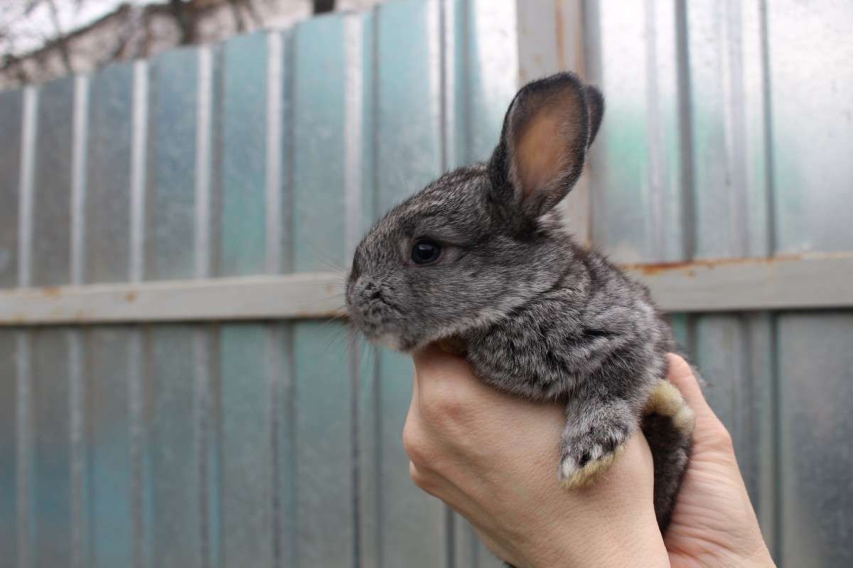 ... ����� ��������� ���������� �� PhotoGeek.ru #�������� ���