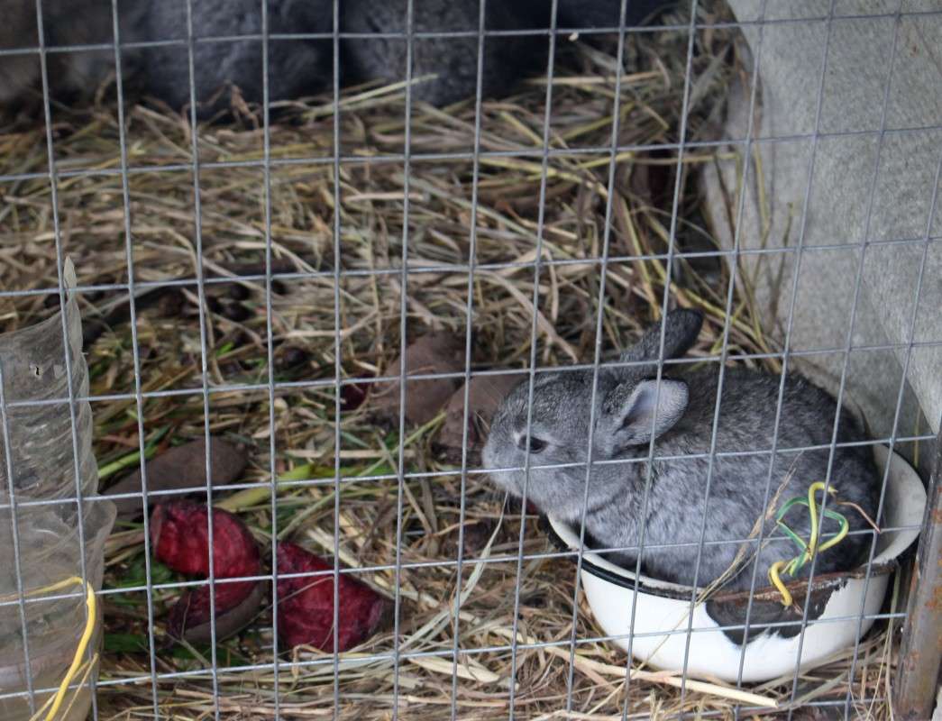 ����� �������)) ����� ��������� ���������� �� PhotoGeek.ru #�������� ���