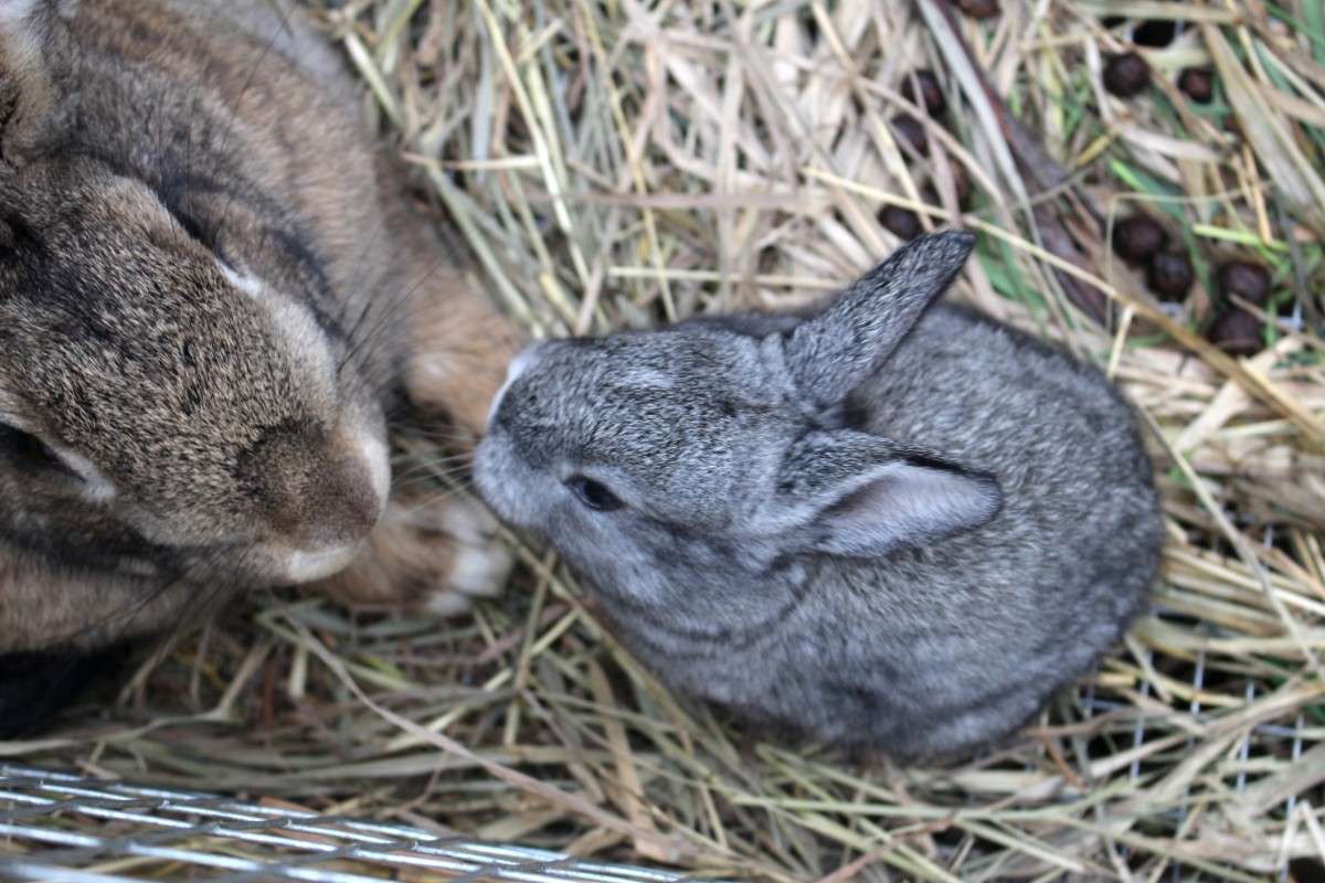 ... ����� ��������� ���������� �� PhotoGeek.ru #�������� ���