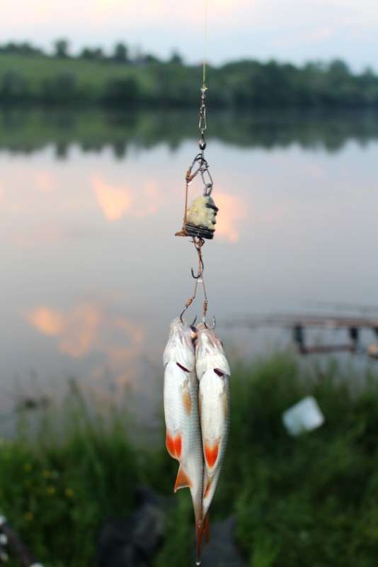 ���� �� ������))) ����� ��������� ���������� �� PhotoGeek.ru #�������� ��� #������ ��� ������� #����� ��������