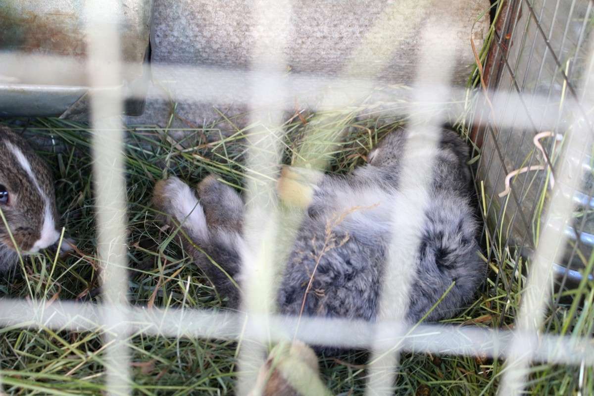 ... ����� ��������� ���������� �� PhotoGeek.ru #�������� ���