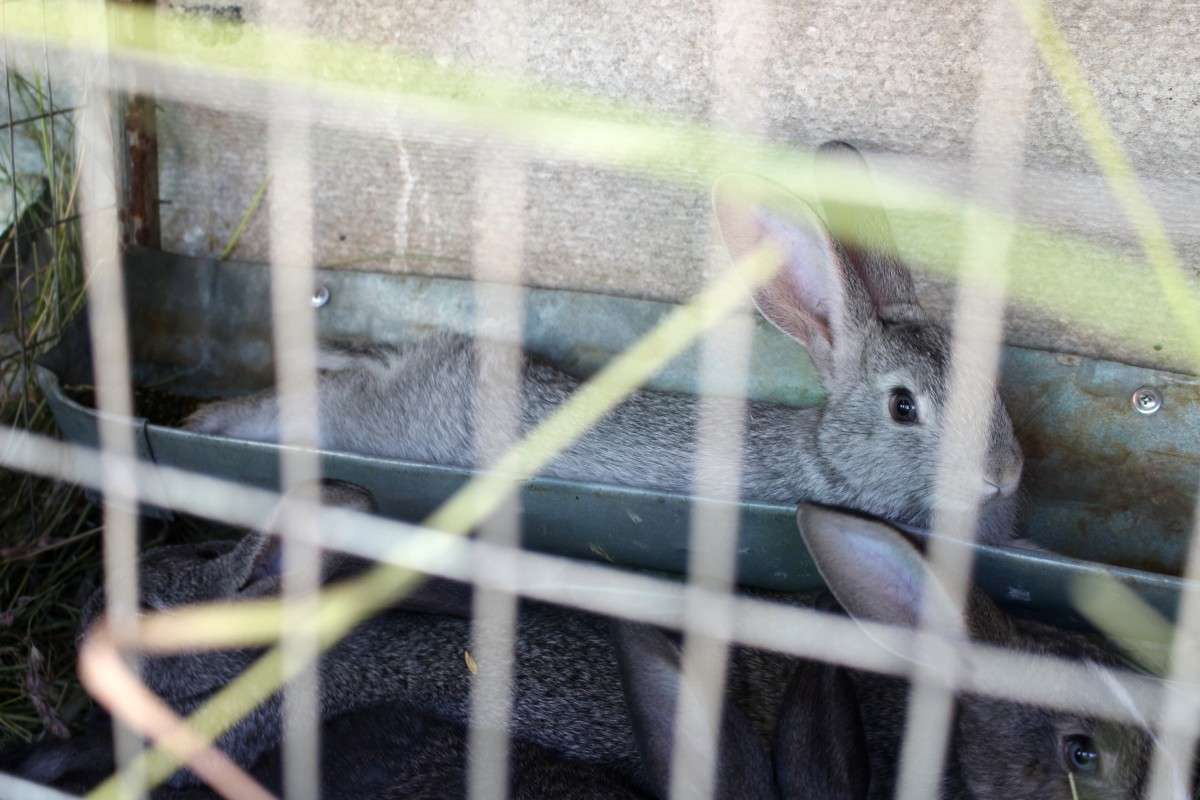 ������) ����� ��������� ���������� �� PhotoGeek.ru #�������� ���