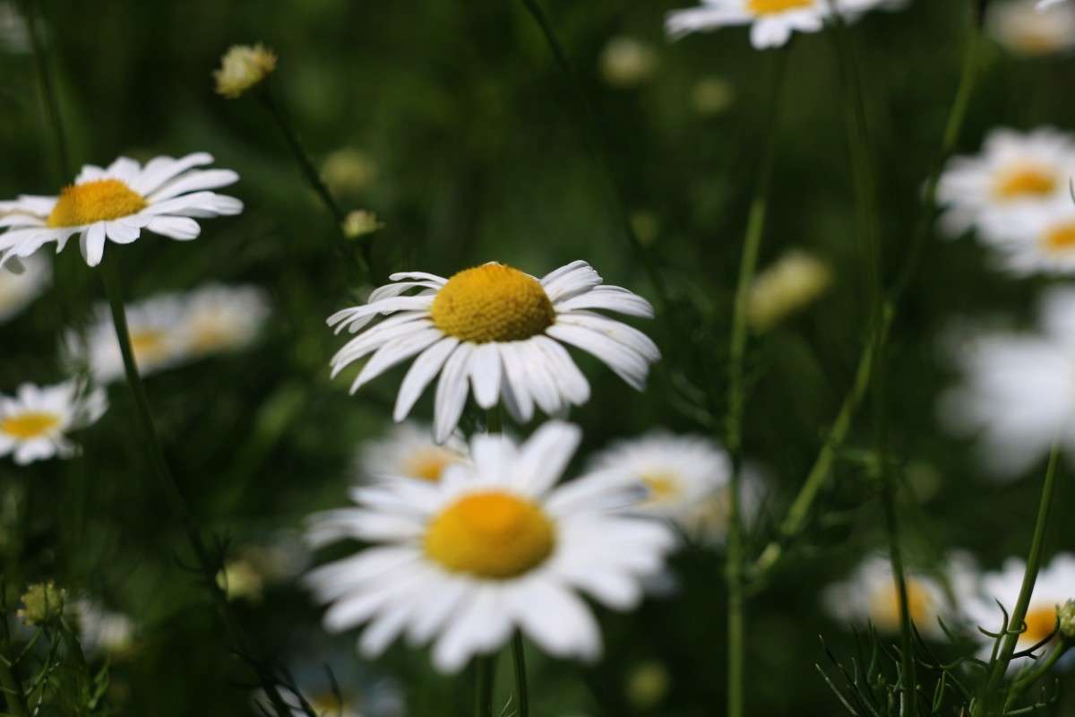 ������� ����� ��������� ���������� �� PhotoGeek.ru #������ ��� ������� #����� �������������� #����� ��������