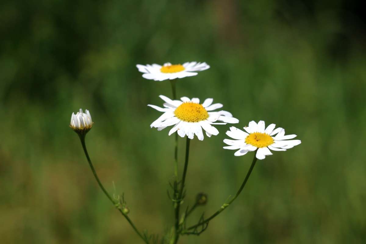 ... ����� ��������� ���������� �� PhotoGeek.ru #������ ��� ������� #����� ��������������