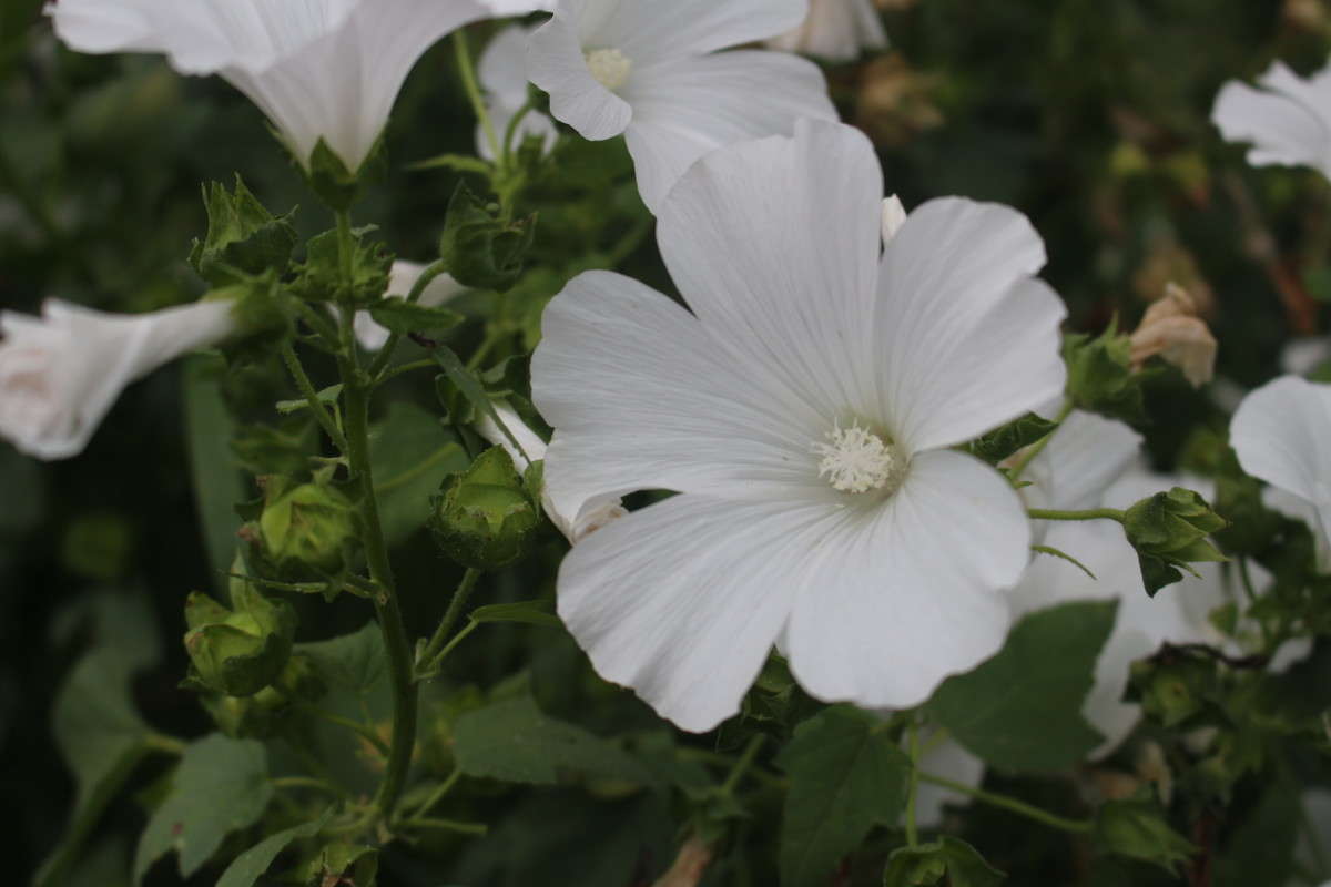 ... ����� ��������� ���������� �� PhotoGeek.ru #������ ��� ������� #����� �������������� #����� ��������