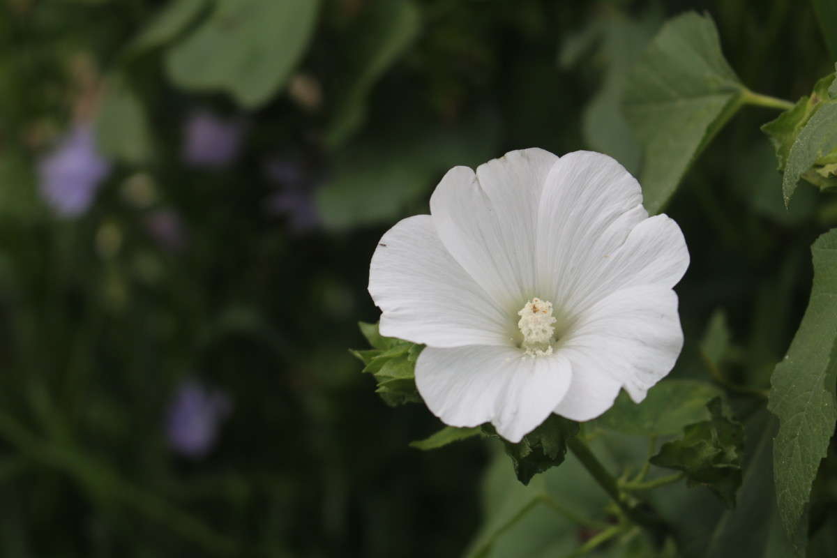 ... ����� ��������� ���������� �� PhotoGeek.ru #������ ��� ������� #����� �������������� #����� ��������