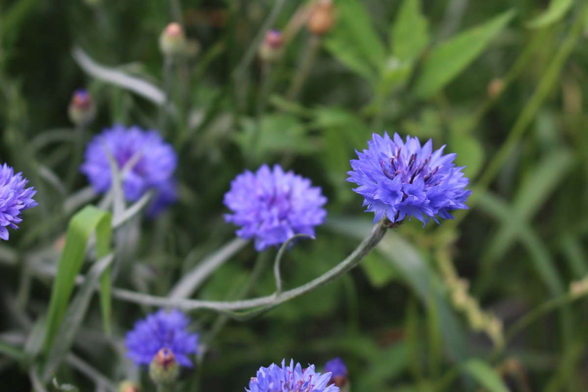 �������� ����� ��������� ���������� �� PhotoGeek.ru #������ ��� ������� #����� �������������� #����� ��������