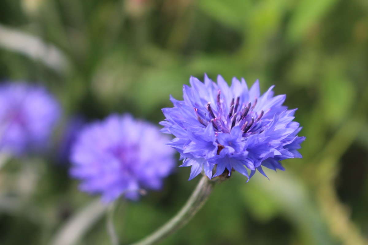 ... ����� ��������� ���������� �� PhotoGeek.ru #������ ��� �������