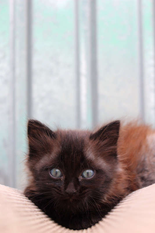 ��� ����� ��������� ���������� �� PhotoGeek.ru #�������� ���